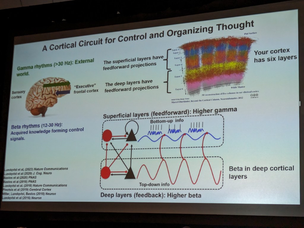 Reflections on The Science of Consciousness Conference 2024 | Qualia ...